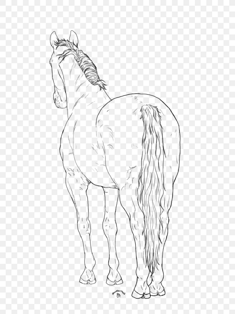 Mane Foal Bridle Mustang Colt, PNG, 729x1095px, Mane, Animal Figure, Arm, Artwork, Black And White Download Free