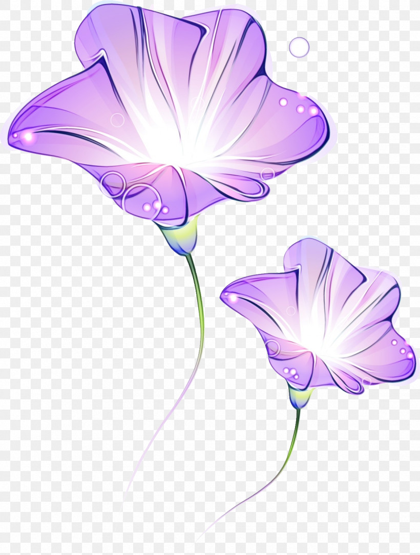 Plant Stem Herbaceous Plant Petal Bellflower Family Morning Glory, PNG, 1129x1493px, Morning Glory, Bellflower Family, Biology, Herbaceous Plant, Paint Download Free