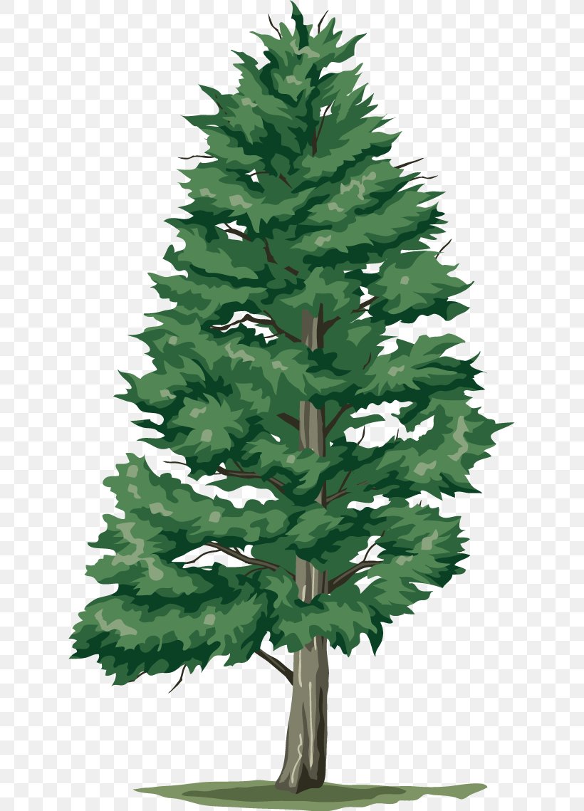 Tree Clip Art, PNG, 627x1139px, Tree, Branch, Christmas Decoration, Christmas Ornament, Christmas Tree Download Free