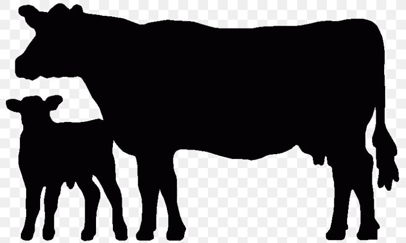 Angus Cattle Beef Cattle Welsh Black Cattle Holstein Friesian Cattle Calf, PNG, 800x492px, Angus Cattle, Beef, Beef Cattle, Black And White, Bull Download Free