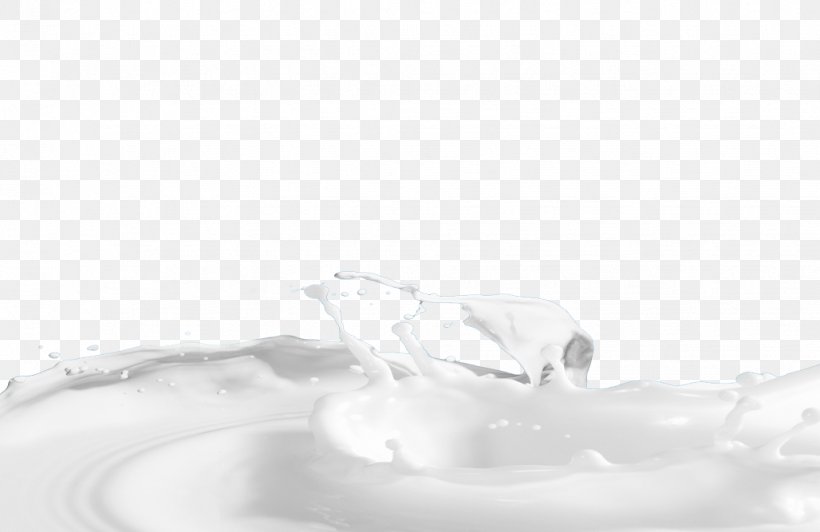 Monochrome Black And White Liquid, PNG, 1028x667px, Monochrome, Black And White, Drinkware, Liquid, Tableglass Download Free