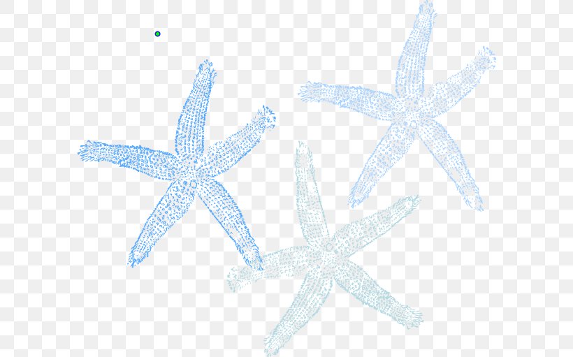 Starfish Marine Invertebrates Echinoderm Organism, PNG, 600x511px, Starfish, Animal, Echinoderm, Fish, Greeting Note Cards Download Free