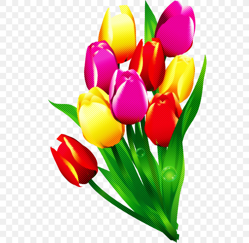 Tulip Petal Flower Cut Flowers Yellow, PNG, 540x800px, Tulip, Bouquet, Crocus, Cut Flowers, Flower Download Free