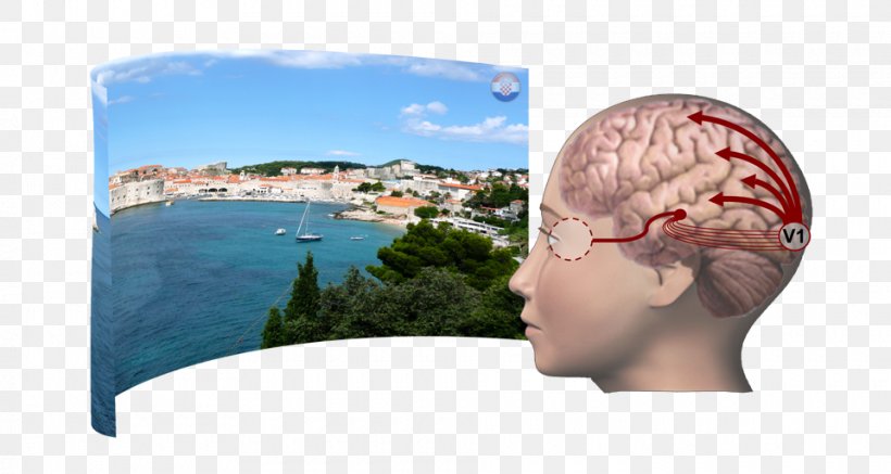 Headgear Brain Research Jaw Vacation, PNG, 960x512px, Headgear, Brain, Cap, Jaw, Logo Download Free
