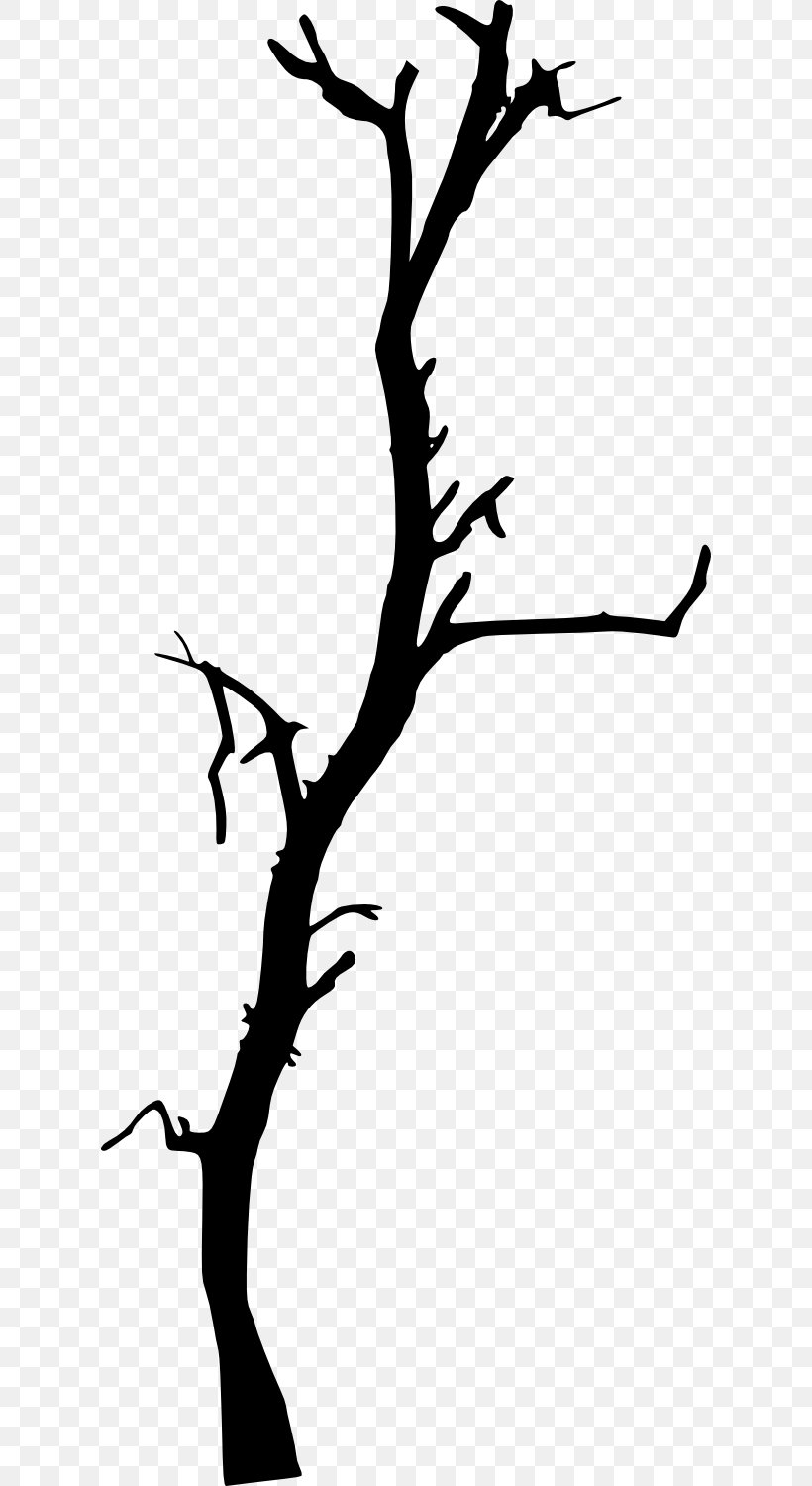 Tree Clip Art Branch Silhouette, PNG, 616x1500px, Tree, Blackandwhite, Botany, Branch, Leaf Download Free