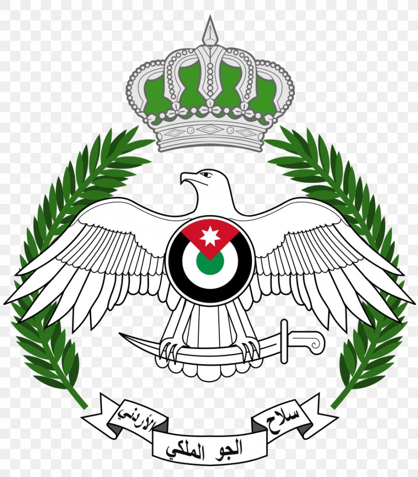 Royal Jordanian Air Force Northrop F-5 Royal Jordanian Air Force General Dynamics F-16 Fighting Falcon, PNG, 898x1024px, Jordan, Air Force, Air Jordan, Artwork, Beak Download Free