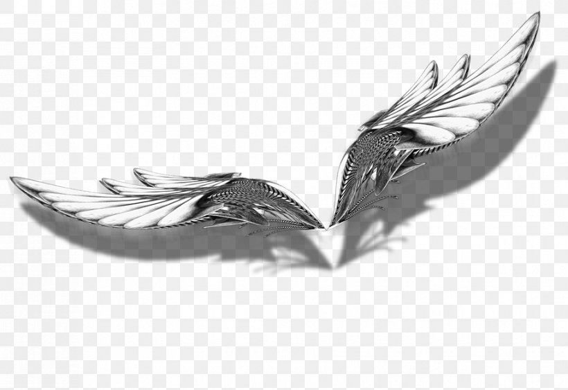 Silver, PNG, 916x630px, Silver, Black And White, Feather, Wing Download Free