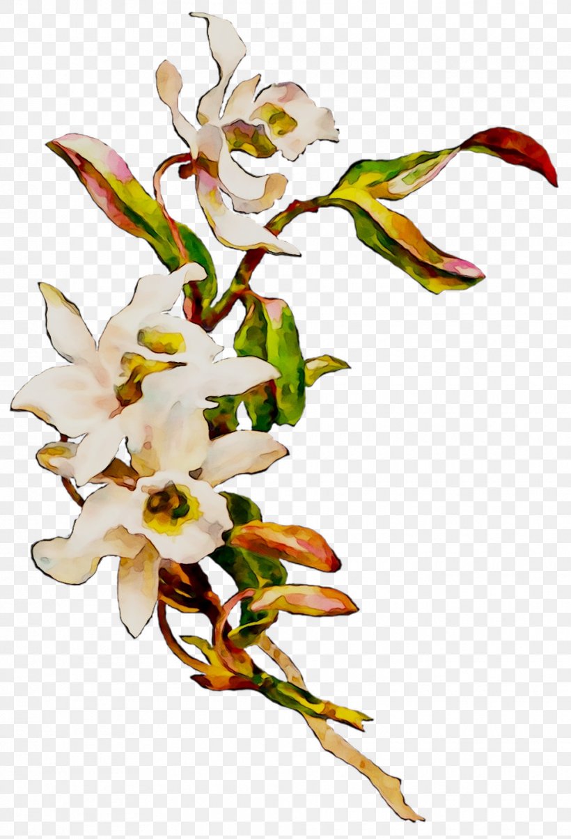 Clip Art Image Victorian Vector Designs, PNG, 990x1455px, Flower, Art, Botany, Branch, Cut Flowers Download Free