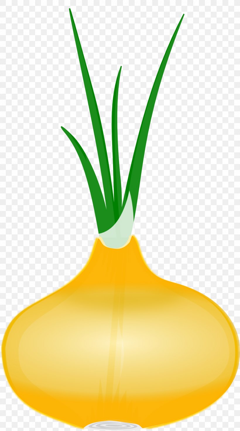 Flowerpot Plant Stem Clip Art, PNG, 1070x1920px, Flowerpot, Commodity, Flower, Flowering Plant, Food Download Free