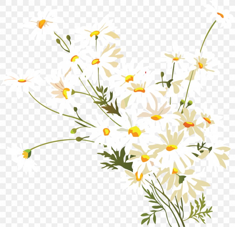 Clip Art Chamomile Flower Image, PNG, 3372x3264px, Chamomile, Art, Branch, Chamaemelum Nobile, Common Daisy Download Free