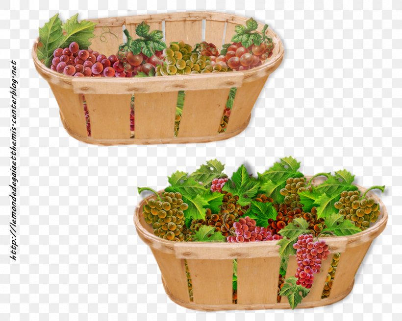 Flowerpot Plastic Herb Superfood Basket, PNG, 1000x800px, Flowerpot, Basket, Food, Fruit, Herb Download Free
