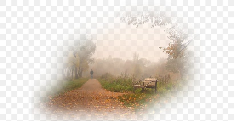 Fog Autumn Stock Photography Clip Art, PNG, 600x424px, Fog, Advertising, Ansichtkaart, Autumn, Collage Download Free