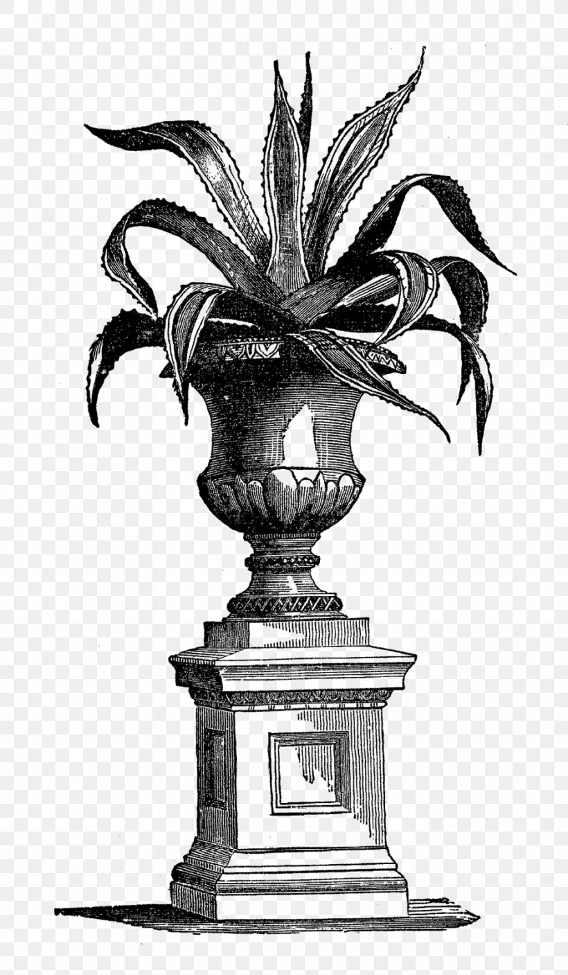 Houseplant Vase Garden, PNG, 932x1600px, Plant, Art, Black And White, Bonsai, Botany Download Free