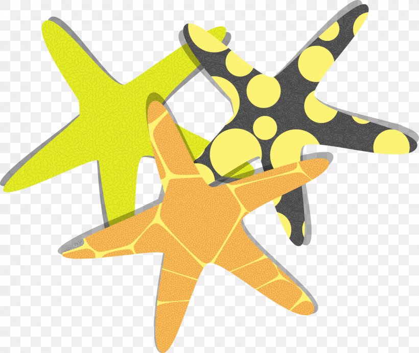 Starfish Euclidean Vector Clip Art, PNG, 1597x1349px, Starfish, Art, Echinoderm, Gratis, Invertebrate Download Free