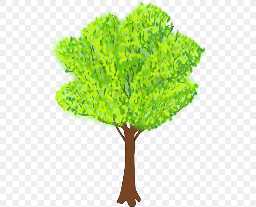 Tree Clip Art, PNG, 512x663px, Tree, Branch, Document, Drawing, Grass Download Free