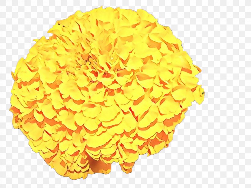 Chrysanthemum Flower Yellow Drawing Watercolor Painting, PNG, 1200x899px, Chrysanthemum, Common Sunflower, Cut Flowers, Drawing, Flower Download Free