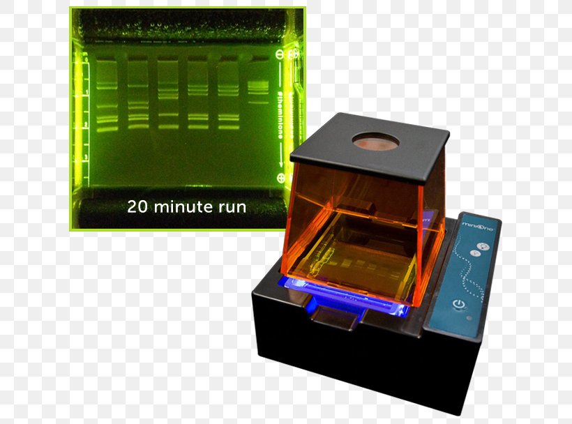 Gel Electrophoresis Embi Tec, PNG, 640x608px, Electrophoresis, Box, Classroom, Electronic Device, Electronics Download Free