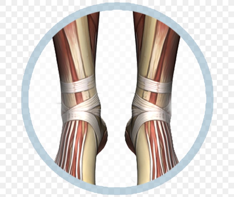 Knee Shoe Ankle Elbow, PNG, 694x690px, Knee, Ankle, Arm, Elbow, Human Leg Download Free