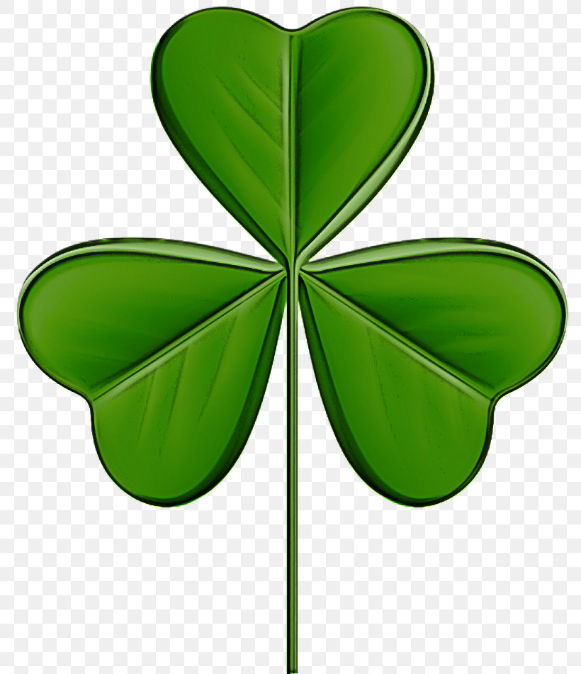 Shamrock, PNG, 800x951px, Green, Clover, Leaf, Legume Family, Plant Download Free