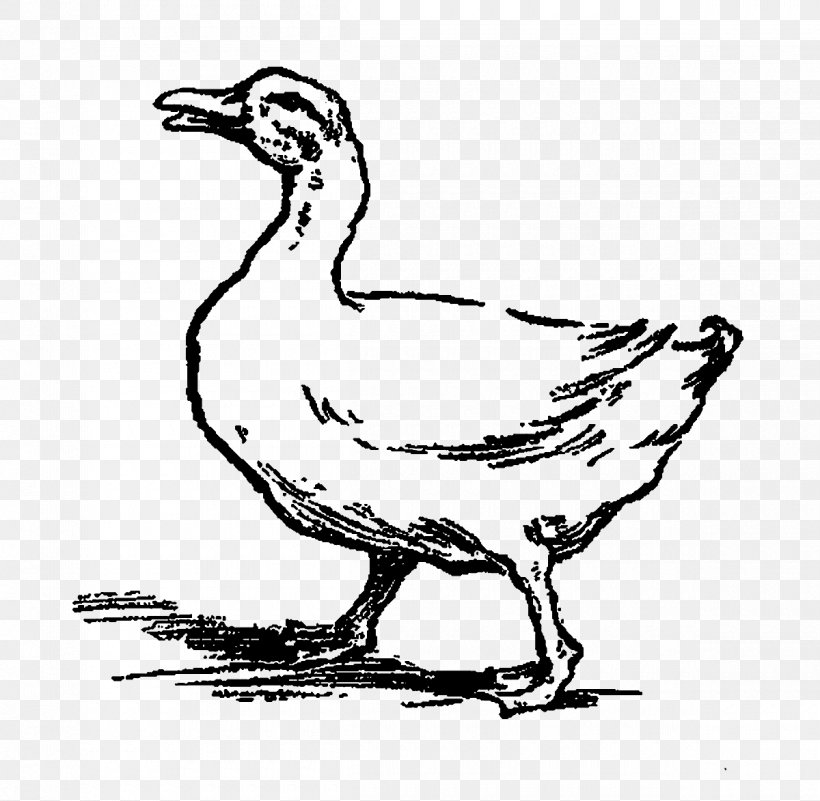 Duck Goose Clip Art Fowl Fauna, PNG, 1200x1173px, Duck, Art, Artwork, Beak, Bird Download Free