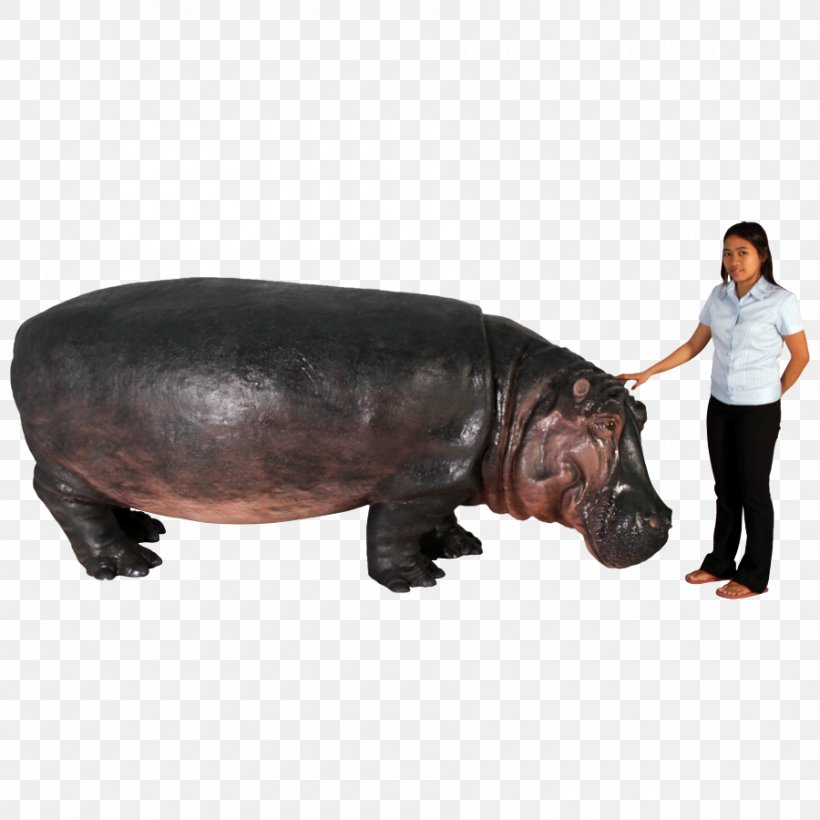 Hippopotamus Pig Terrestrial Animal Snout, PNG, 900x900px, Hippopotamus, Animal, Mammal, Organism, Pig Download Free