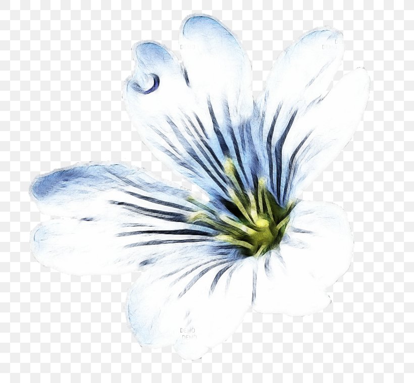 Petal Flower Blog, PNG, 800x760px, Petal, Blog, Blue, Close Up, Ebook Download Free