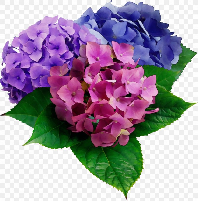 Purple Watercolor Flower, PNG, 1063x1080px, Watercolor, Artificial Flower, Azalea, Bouquet, Cornales Download Free