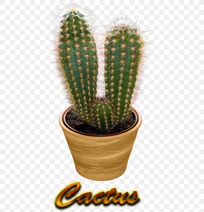San Pedro Cactus Prickly Pear Triangle Cactus Cactus/ Cactus, PNG, 1154x1200px, San Pedro Cactus, Acanthocereus, Acanthocereus Tetragonus, Cactus, Cactus Cactus Download Free