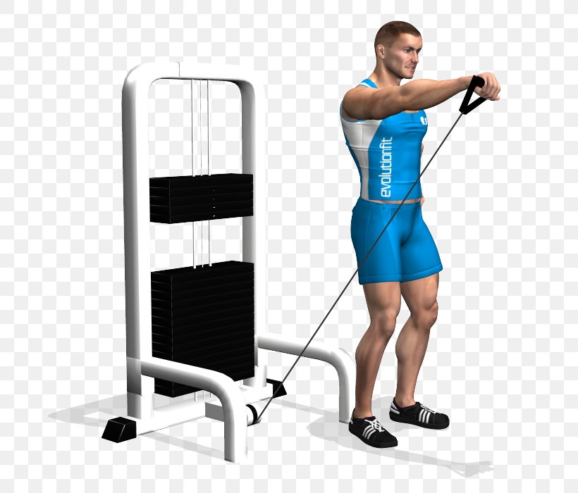Shoulder Physical Fitness Exercise Cable Machine Fly, PNG, 700x700px, Watercolor, Cartoon, Flower, Frame, Heart Download Free