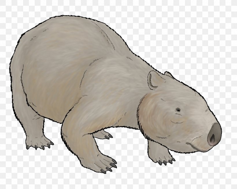 Wombat Phascolonus Polar Bear Marsupial Armadillo, PNG, 900x720px, Wombat, Amebelodon, Animal, Animal Figure, Armadillo Download Free