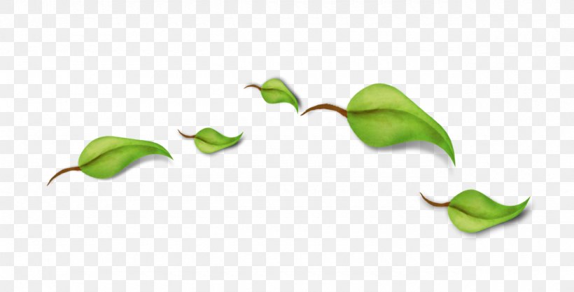 Alexandra Monnin Leaf Petal Branch Energy, PNG, 1280x652px, Leaf, Blog, Branch, Energy, Flora Download Free