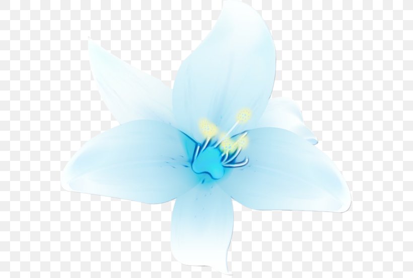 Blue Petal White Flower Plant, PNG, 600x553px, Watercolor, Blue, Flower, Flowering Plant, Iris Download Free