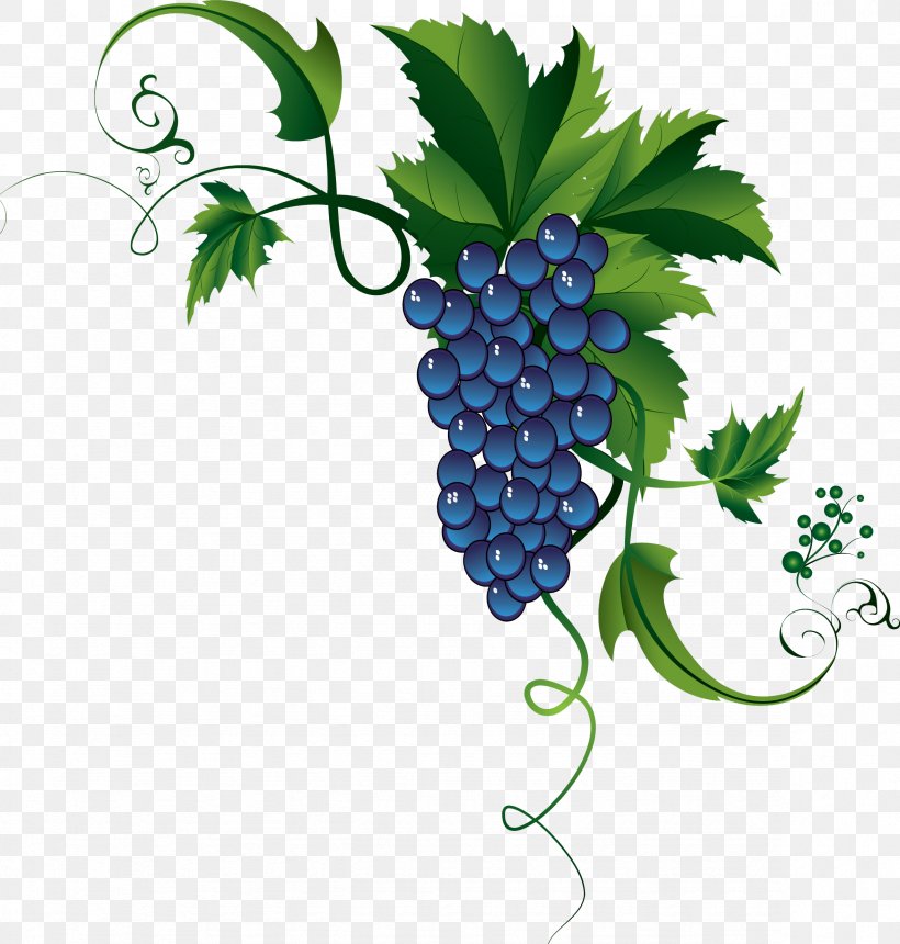 Common Grape Vine Clip Art Cognac カーネフェリーチェ, PNG, 2356x2471px, Common Grape Vine, Bilberry, Cognac, Flowering Plant, Food Download Free