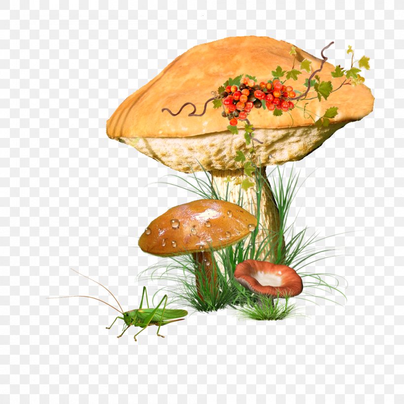 Common Mushroom Clip Art Edible Mushroom, PNG, 1000x1000px, Common Mushroom, Agaric, Agaricus, Edible Mushroom, Food Download Free