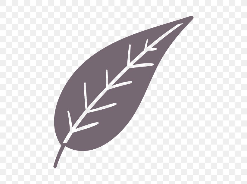 Line Leaf Angle, PNG, 512x611px, Leaf, Plant, Wing Download Free