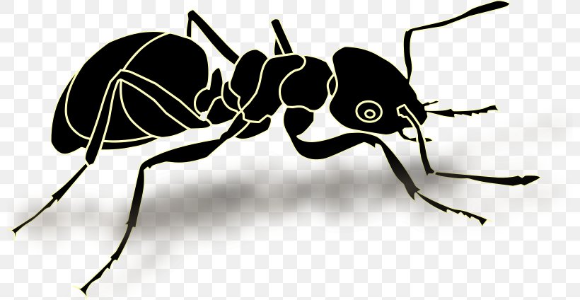 Ant Insect Vector Graphics Clip Art Illustration, PNG, 800x424px, Ant, Arthropod, Black And White, Carpenter Ant, Drawing Download Free