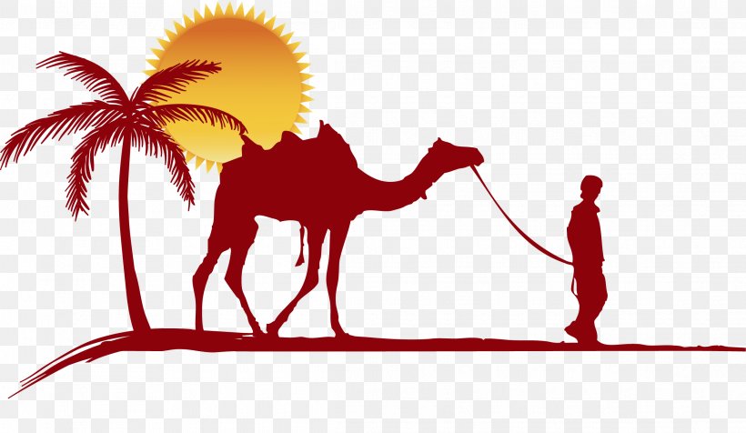 Camel Camel, PNG, 2285x1328px, Camel, Arabian Camel, Camel Safari, Camelid, Caravan Download Free