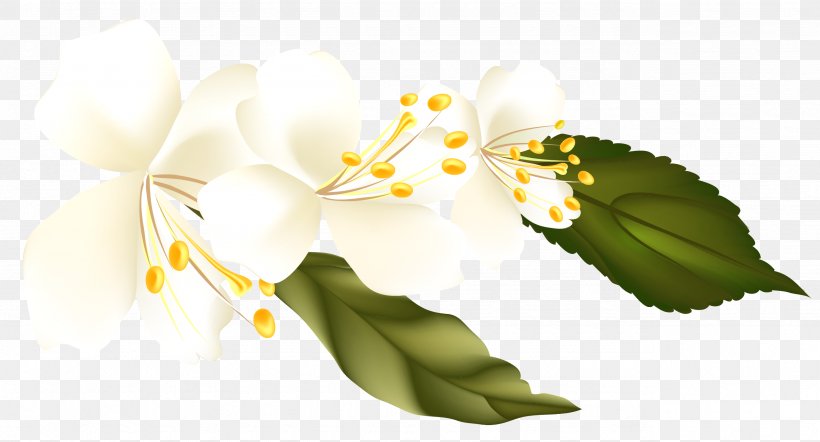 Clip Art, PNG, 2565x1385px, Flower, Blossom, Branch, Flora, Floral Design Download Free