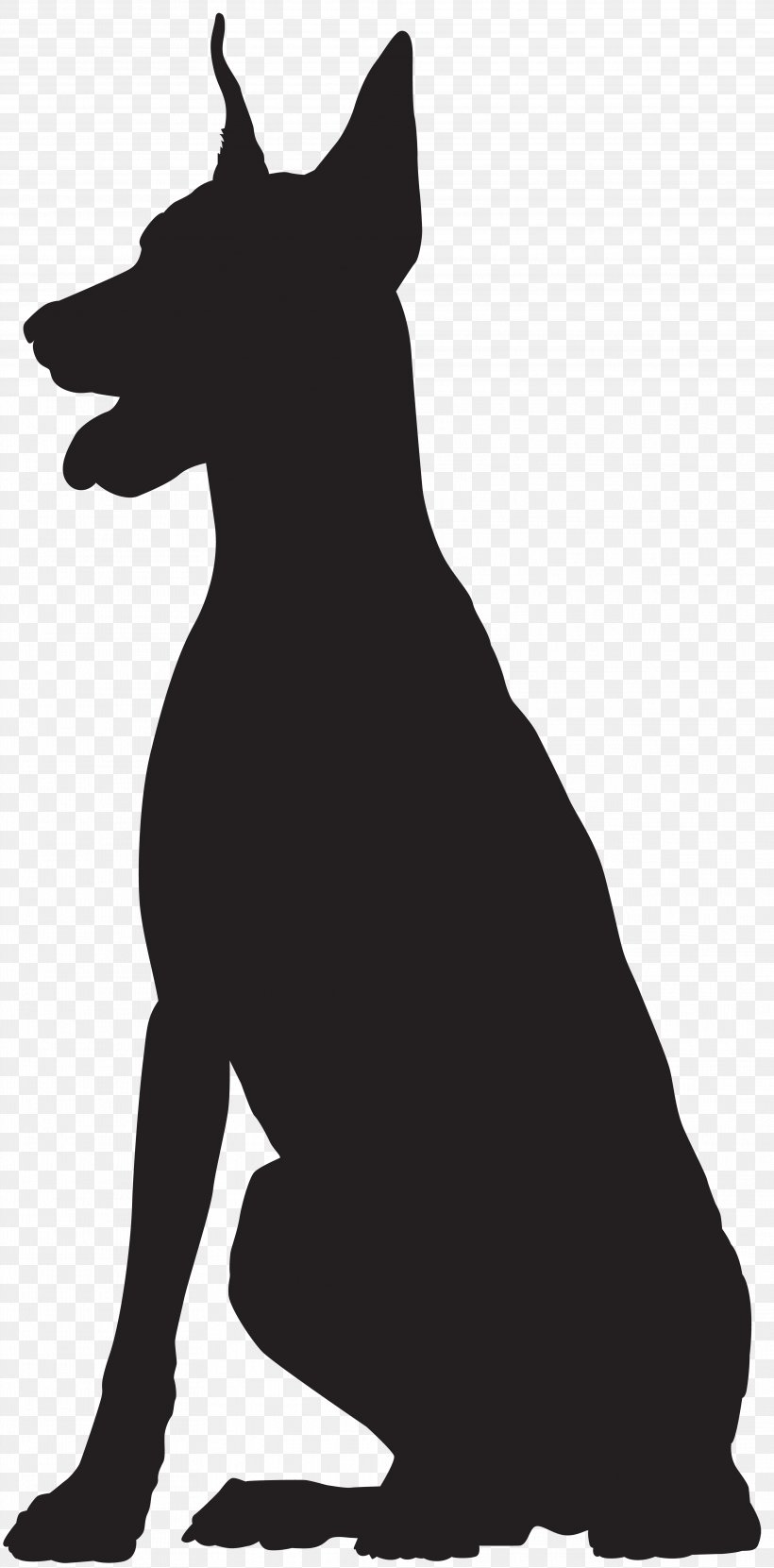 Dog Breed Black And White Snout, PNG, 3948x8000px, Dobermann, Animal, Black, Black And White, Carnivoran Download Free