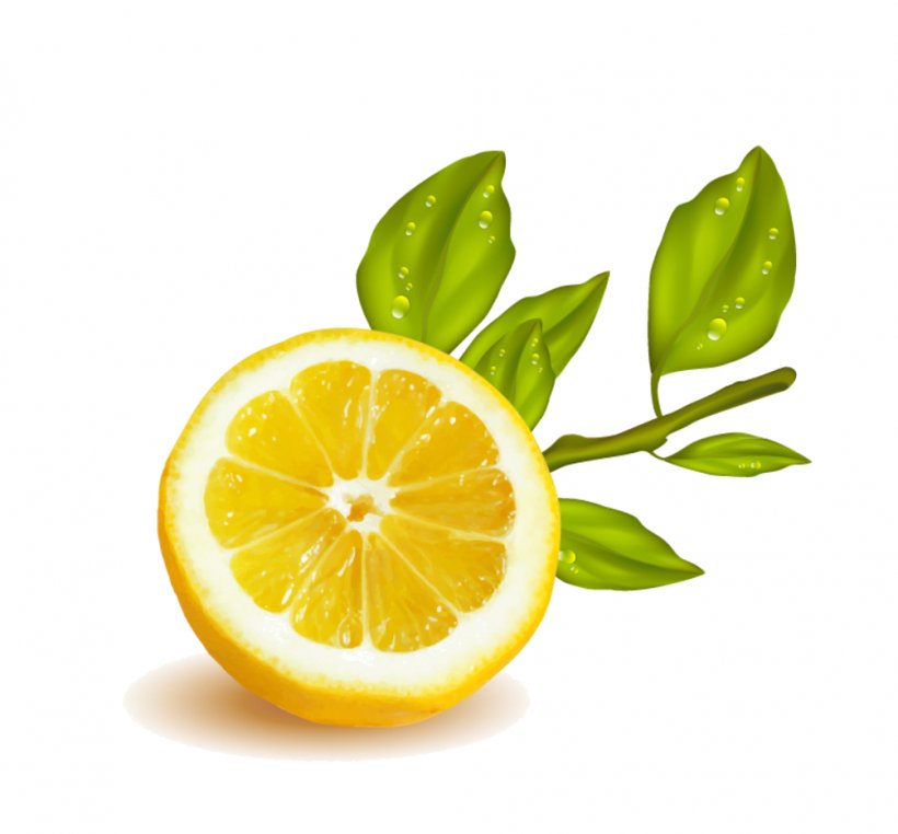 Lemon Vector Graphics Illustration Fruit Clip Art, PNG, 1005x935px, Lemon, Bitter Orange, Citric Acid, Citron, Citrus Download Free