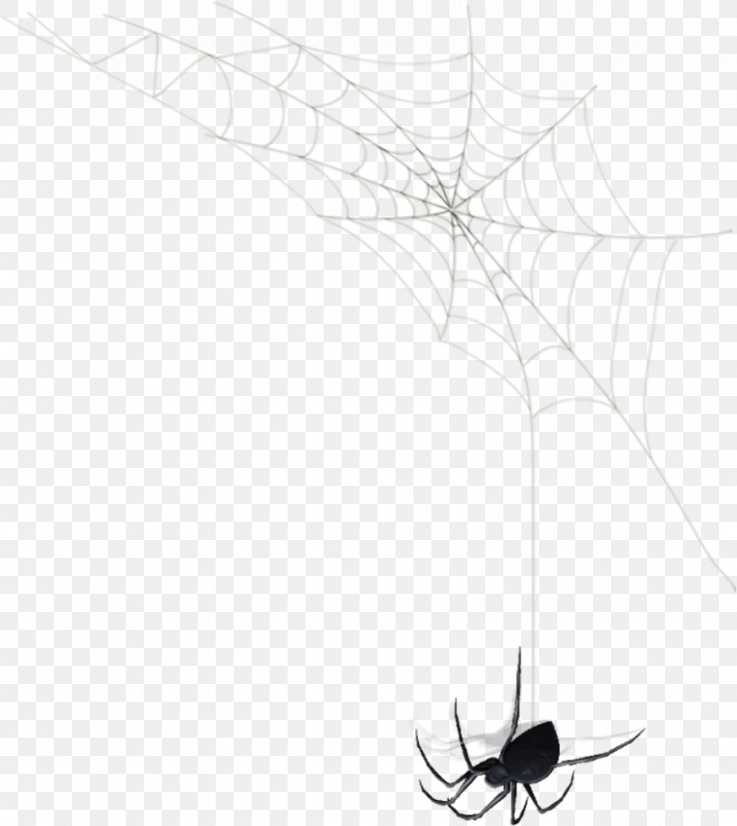Spider Web, PNG, 848x950px, Watercolor, Arachnid, Black And White, Insects, Leaf Download Free