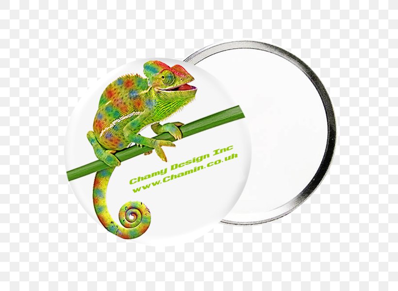 Chameleons Real World Psychology Reptile Iguanomorpha Animal, PNG, 600x600px, Chameleons, Amphibian, Animal, Book, Cancer Download Free