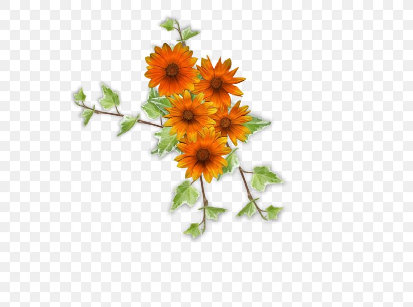 Flower Painting Clip Art, PNG, 600x609px, Flower, Calendula, Chrysanths, Cut Flowers, Daisy Family Download Free