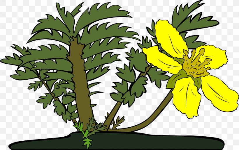 Clip Art Vector Graphics Openclipart Image, PNG, 1280x806px, Flower, Branch, Cut Flowers, Drawing, Flora Download Free