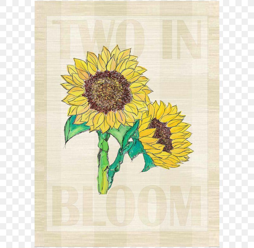 Floral Design Sunflower M, PNG, 800x800px, Floral Design, Daisy Family, Flower, Flowering Plant, Sunflower Download Free