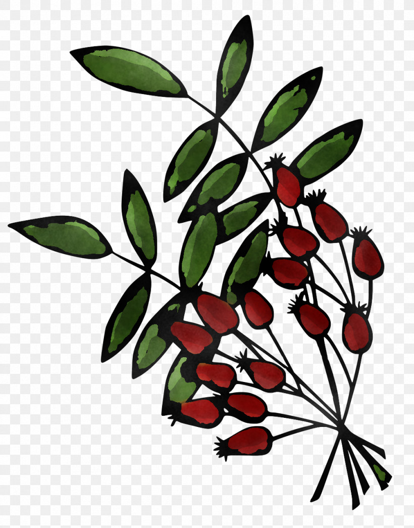 Flower Plant Stem Leaf Tree Flora, PNG, 1004x1280px, Flower, Biology, Flora, Fruit, Leaf Download Free