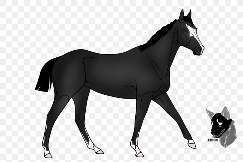 Friesian Horse Stallion Standardbred Sulky Thoroughbred, PNG, 1024x683px, Friesian Horse, Black And White, Bridle, Colt, English Riding Download Free