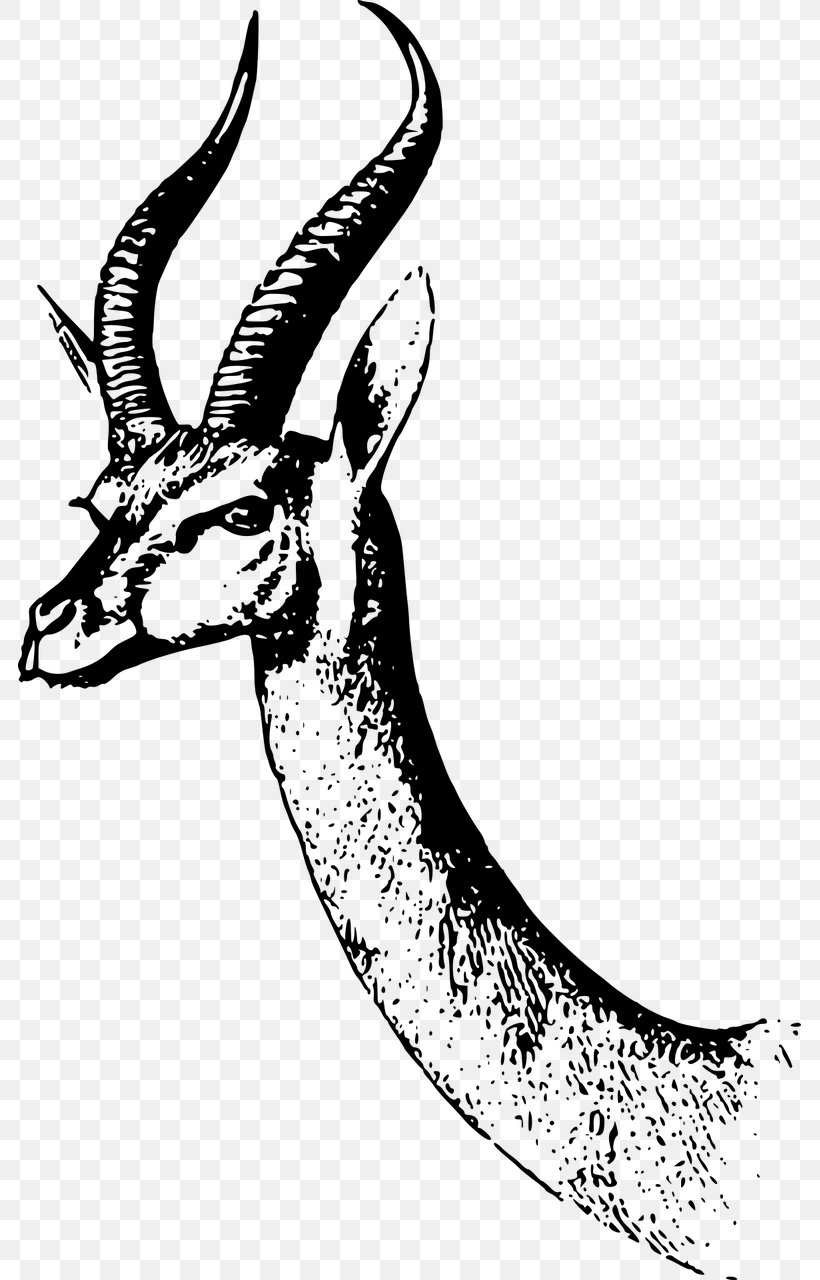 Antelope Dama Gazelle Clip Art, PNG, 783x1280px, Antelope, Antler, Art, Black And White, Dama Gazelle Download Free
