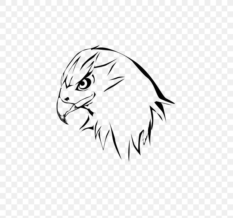 Black And White Whiskers Drawing Hawk Clip Art, PNG, 543x768px, Black And White, Artwork, Beak, Big Cats, Black Download Free