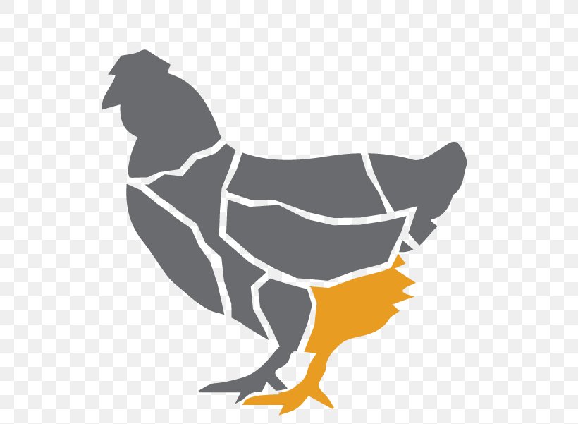 Buffalo Wing Chicken Poultry Bird Duck, PNG, 601x601px, Buffalo Wing, Art, Beak, Bird, Chicken Download Free